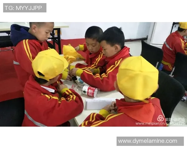 李泓澎的成长之路与未来展望：从学术研究到社会实践的全面探索