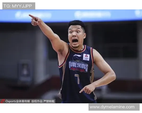 高诗岩:从青年才俊到篮球赛场的闪耀明星之路 高诗岩:从青年才俊到篮球赛场的闪耀明星之路